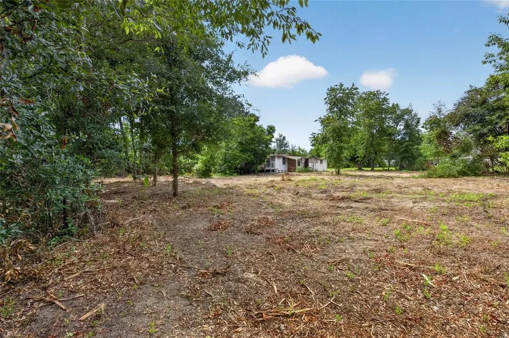 8608 Hamster Drive Zephyrhills FL 33540