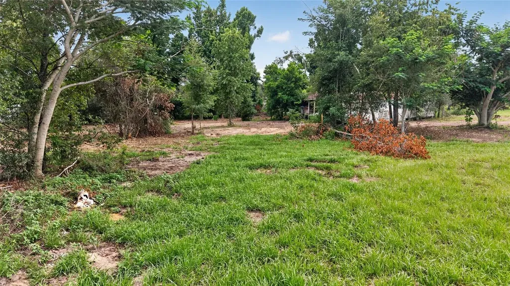 8608 Hamster Drive Zephyrhills FL 33540