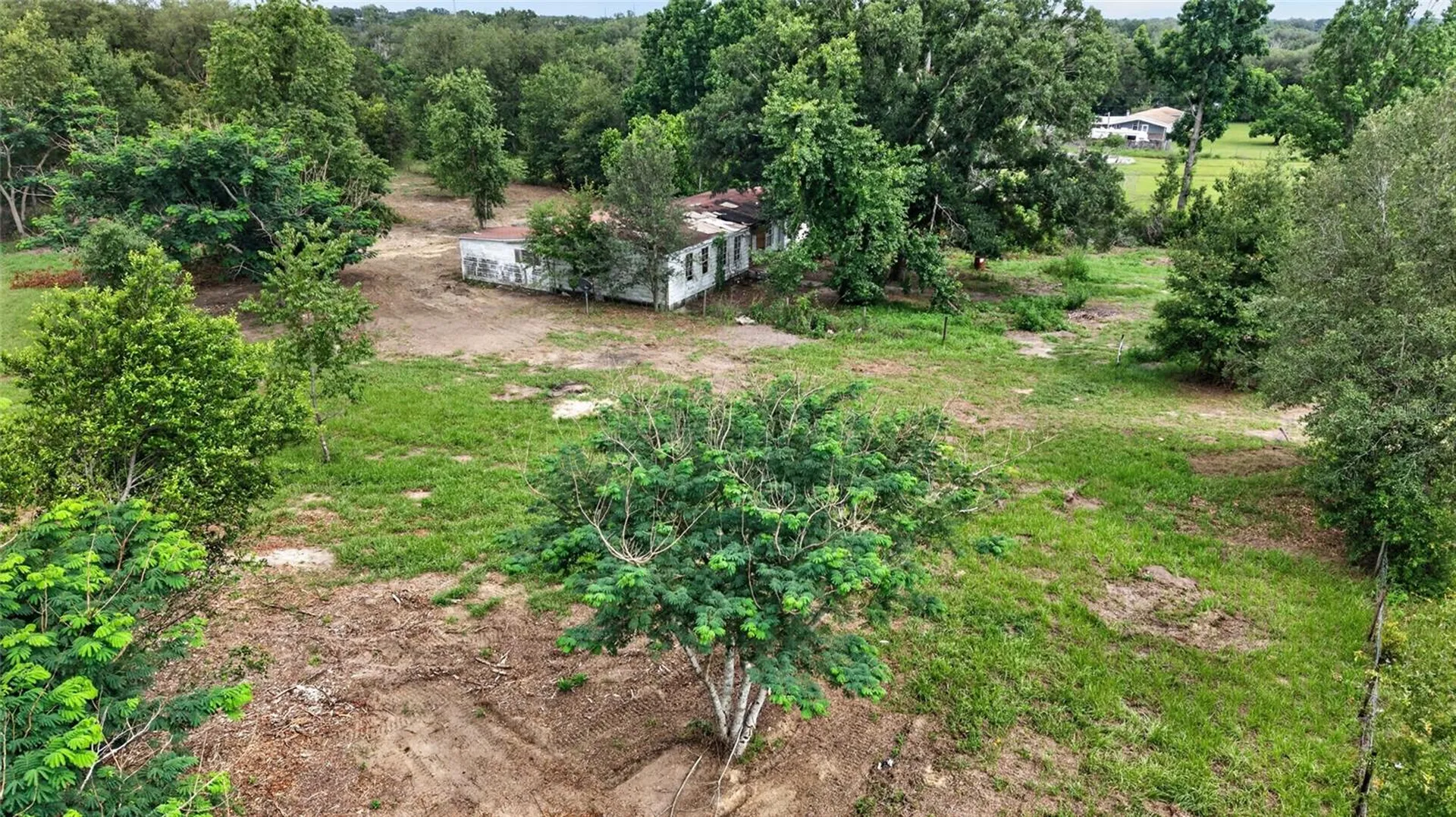 8608 Hamster Drive Zephyrhills FL 33540