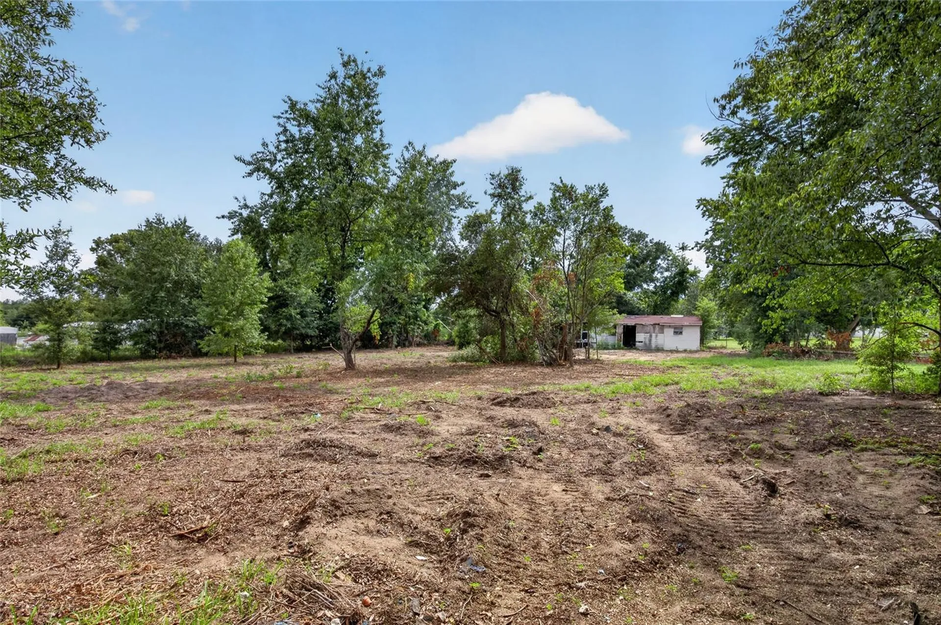 8608 Hamster Drive Zephyrhills FL 33540