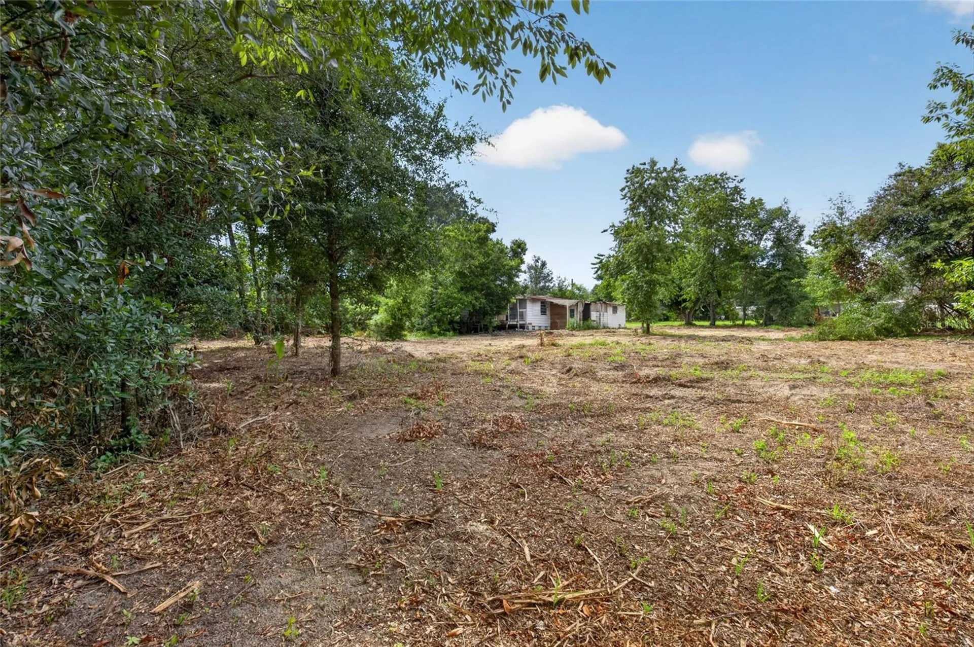 8608 Hamster Drive Zephyrhills FL 33540
