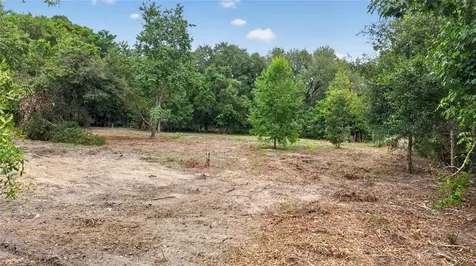 8608 Hamster Drive Zephyrhills FL 33540