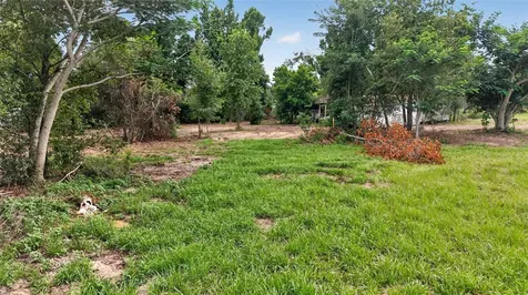 8608 Hamster Drive Zephyrhills FL 33540