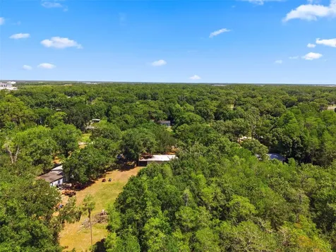 1136 Wildwood Lane Lutz FL 33558
