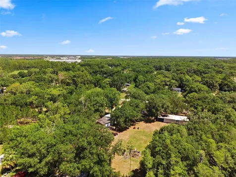 1136 Wildwood Lane Lutz FL 33558
