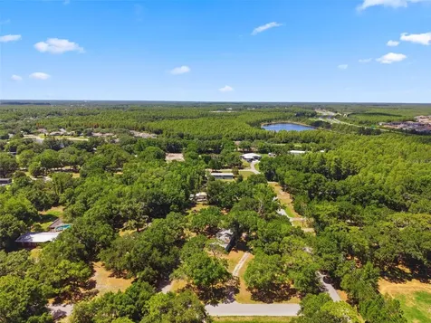 1136 Wildwood Lane Lutz FL 33558