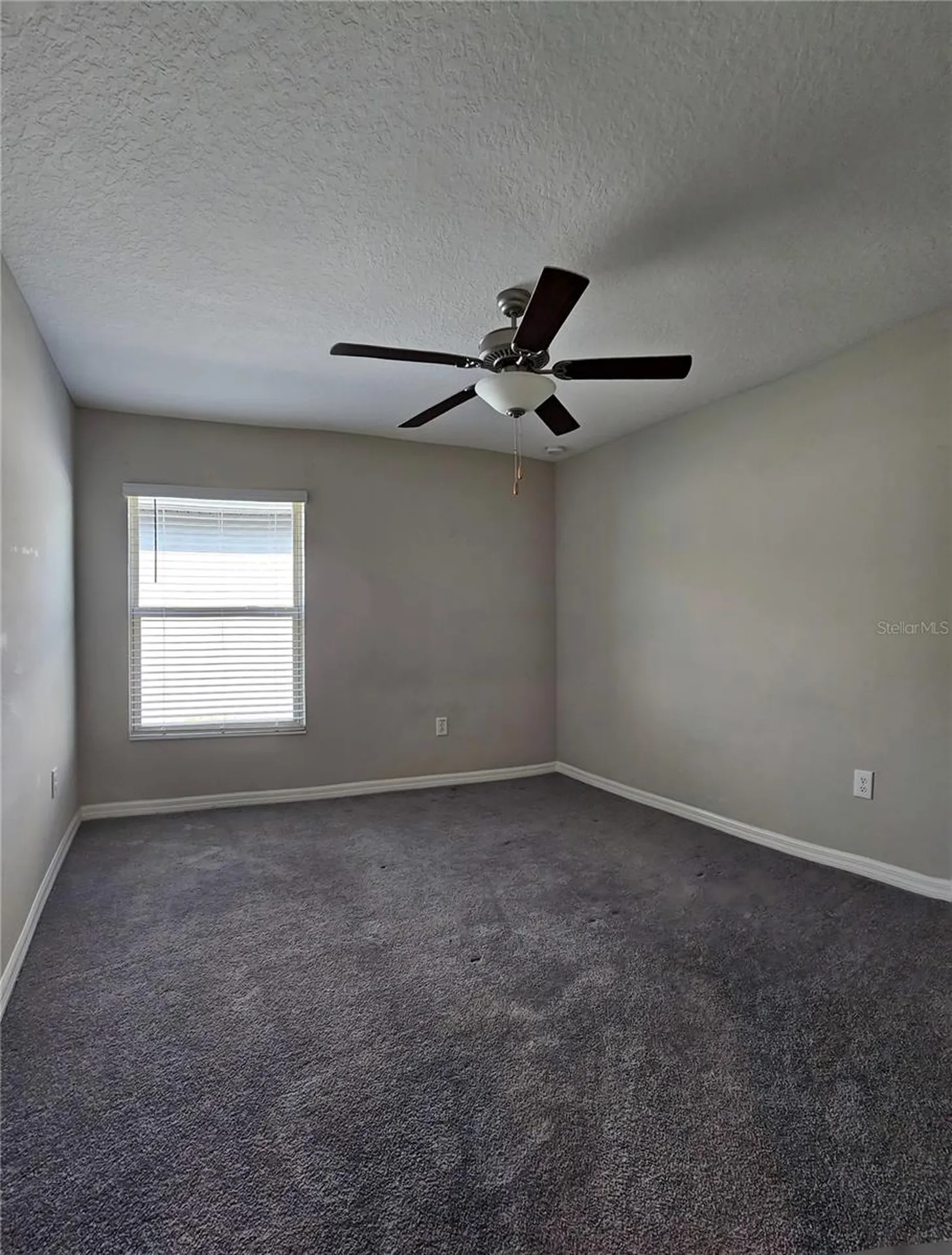 165 Rain Berry Avenue Ruskin FL 33570