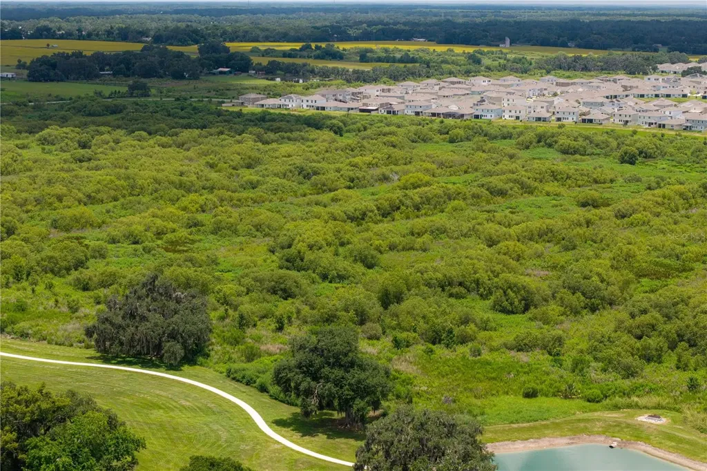 3413 Ivy Hollow Drive Plant City FL 33565
