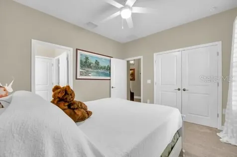 9503 Beautiful Way Winter Garden FL 34787