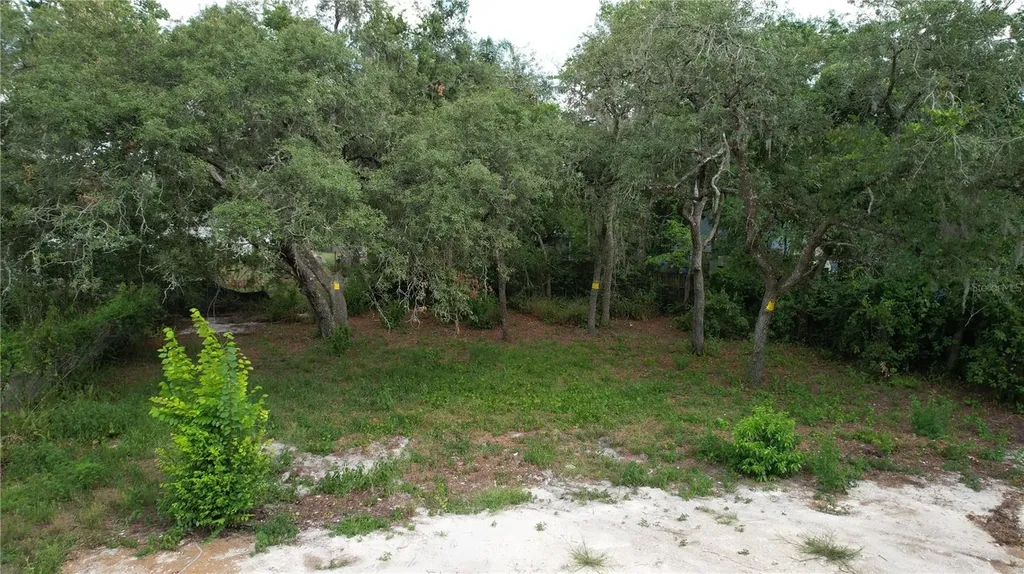 11406 Polo Street New Port Richey FL 34654