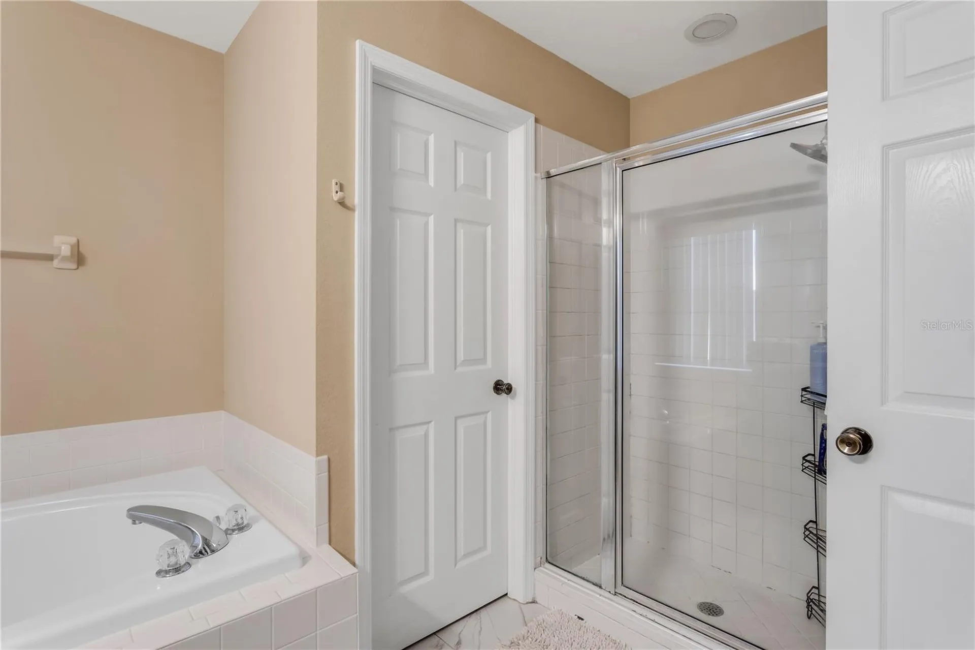11436 Georgetown Circle Tampa FL 33635