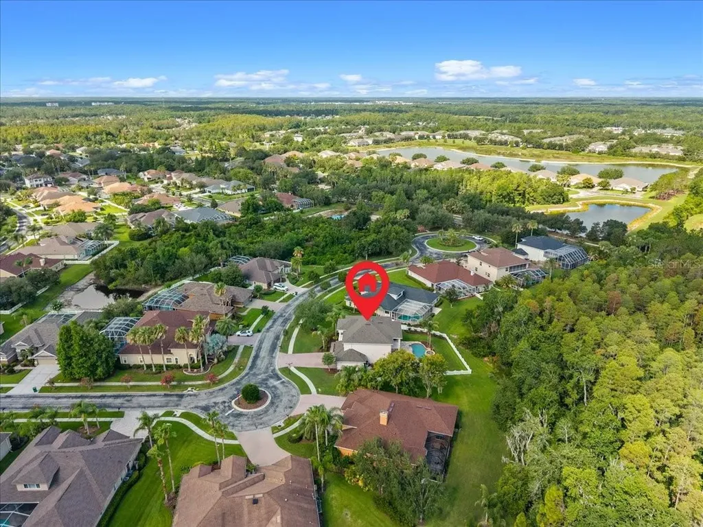 27335 Roseling Court Wesley Chapel FL 33544