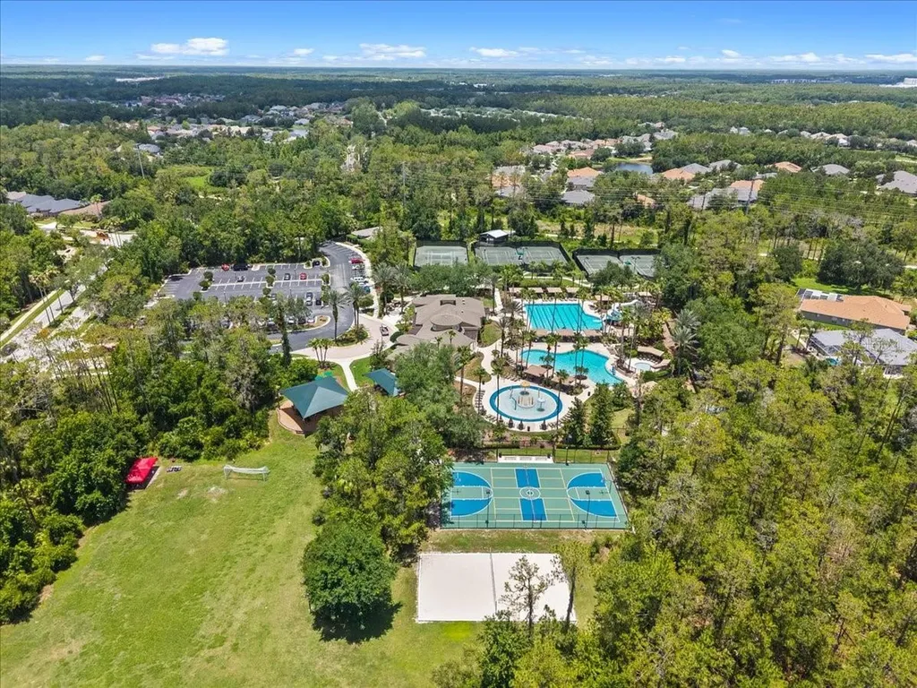 27335 Roseling Court Wesley Chapel FL 33544