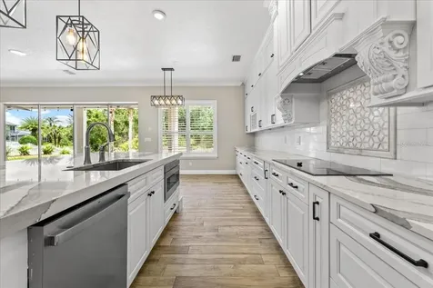 27335 Roseling Court Wesley Chapel FL 33544