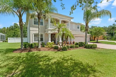 27335 Roseling Court Wesley Chapel FL 33544