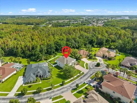 27335 Roseling Court Wesley Chapel FL 33544