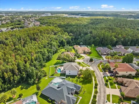 27335 Roseling Court Wesley Chapel FL 33544