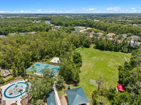 27335 Roseling Court Wesley Chapel FL 33544