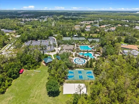 27335 Roseling Court Wesley Chapel FL 33544