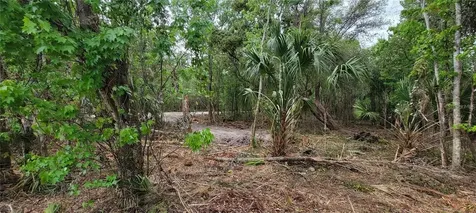 0 N Poinciana Boulevard Kissimmee FL 34746