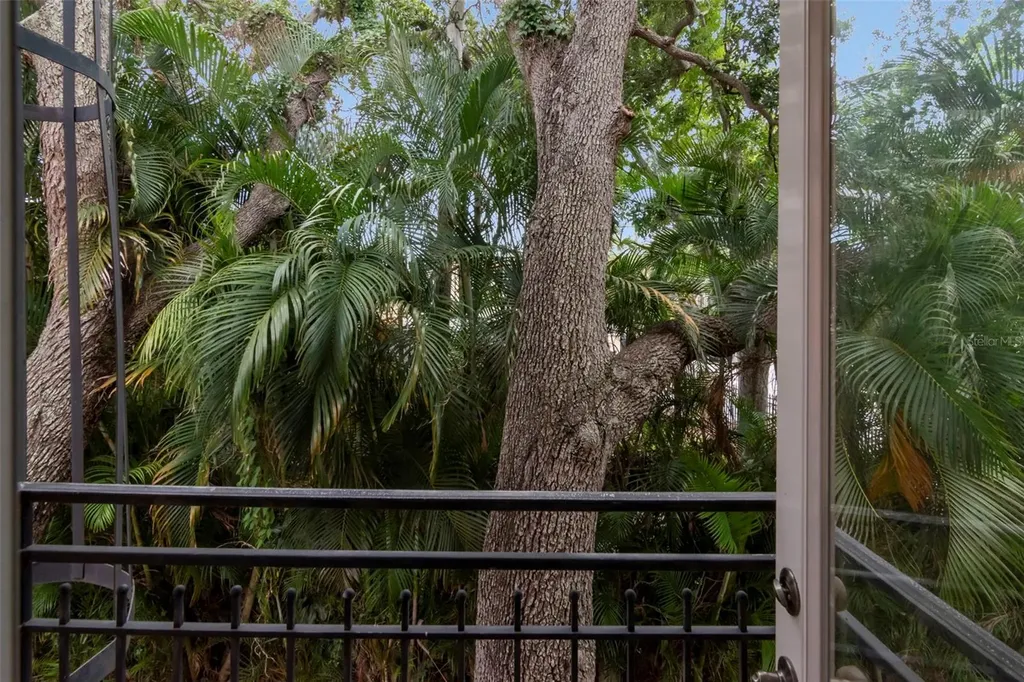 3025 W Grovewood Court Tampa FL 33629