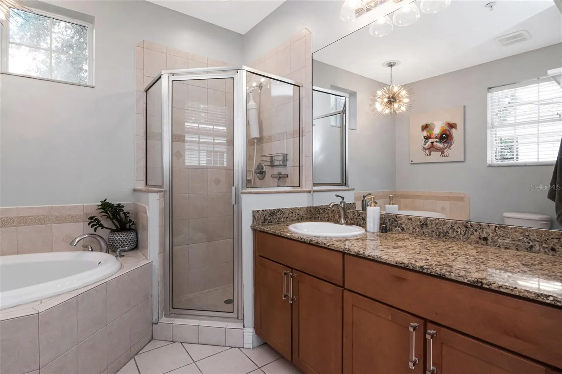 3025 W Grovewood Court Tampa FL 33629