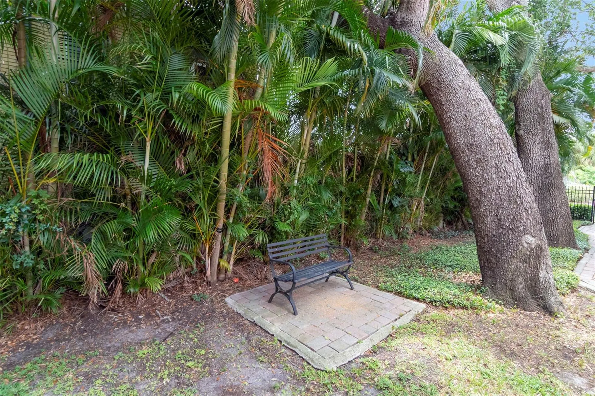 3025 W Grovewood Court Tampa FL 33629