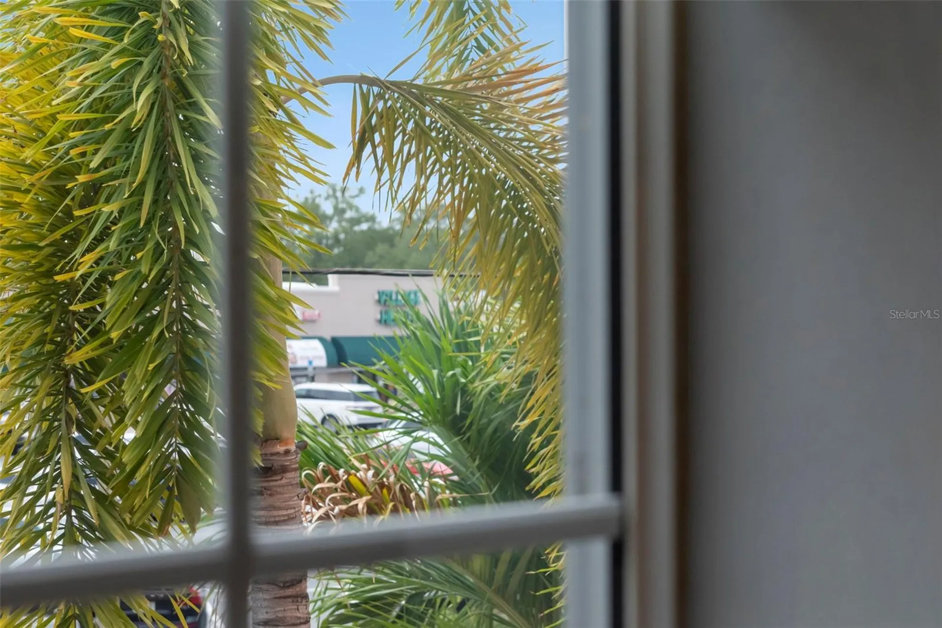 3025 W Grovewood Court Tampa FL 33629