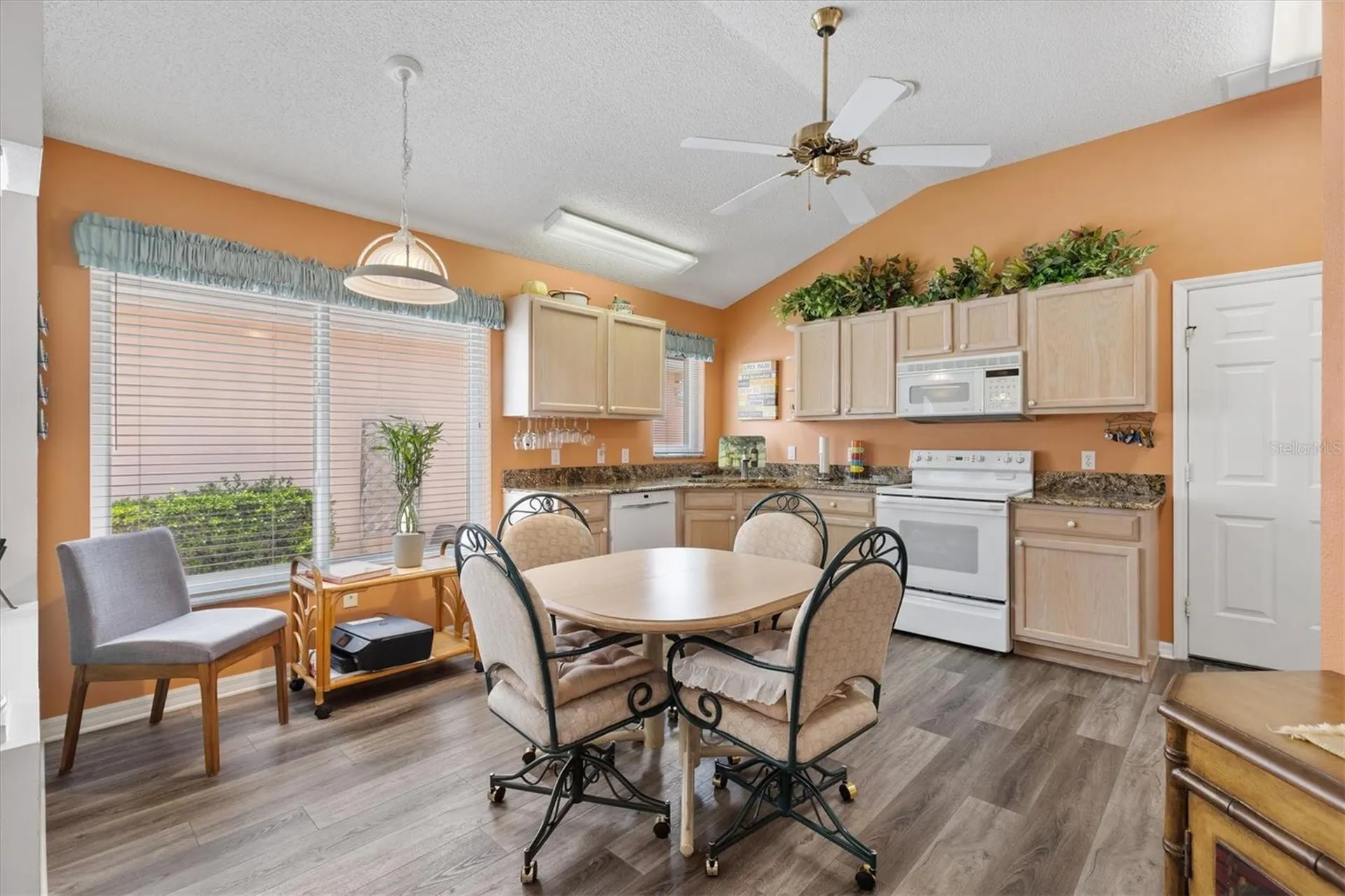 1516 Martinez Drive The Villages FL 32159