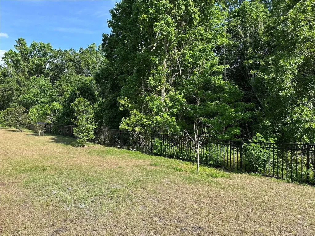 4162 Babbling Brook Way Kissimmee FL 34746