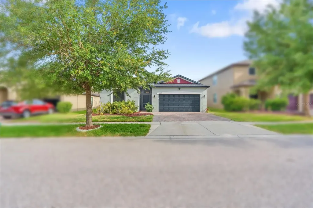 10222 Celtic Ash Drive Ruskin FL 33573