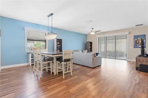 10222 Celtic Ash Drive Ruskin FL 33573