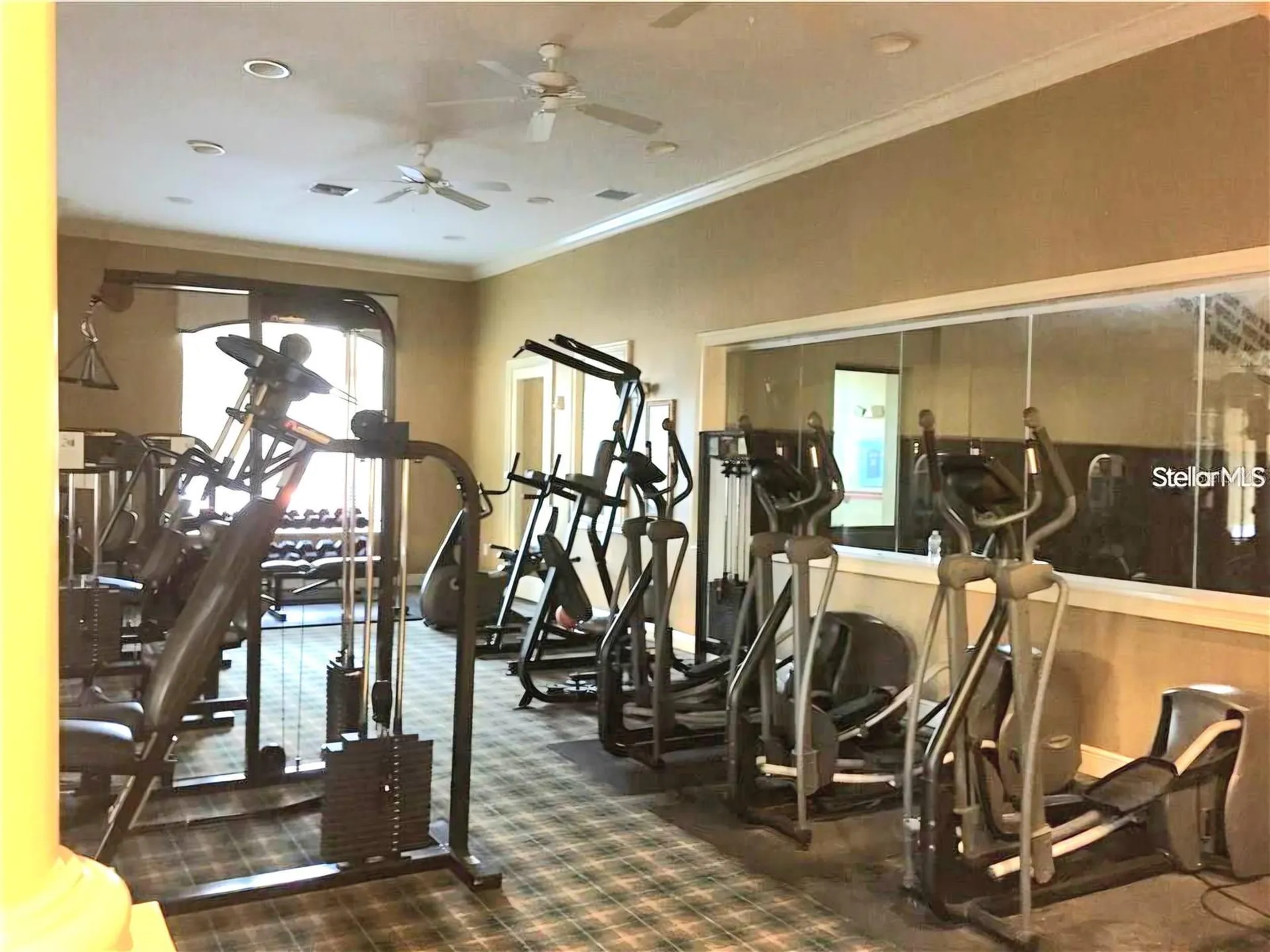 10211 Courtney Palms Boulevard Tampa FL 33619