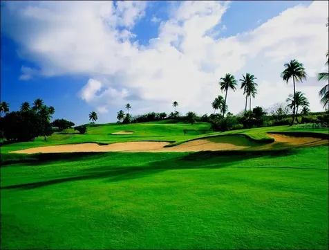 Palmas Del Mar Fairlakes Village Humacao PR 00791