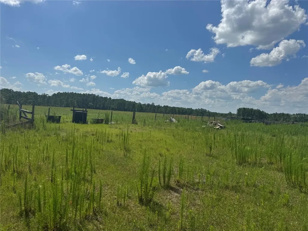 505 Deen Still Road Davenport FL 33897