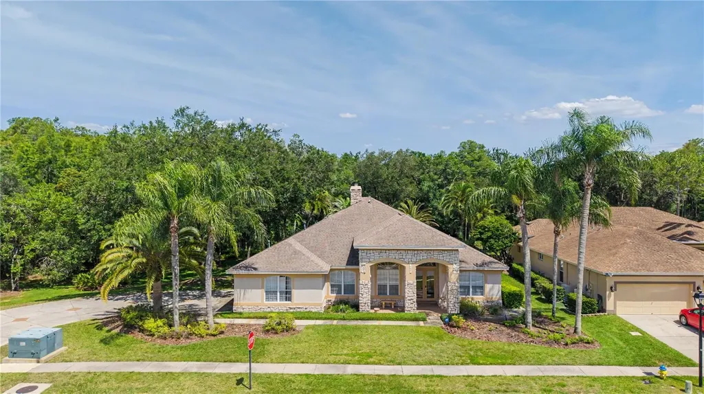 18615 Chemille Drive Lutz FL 33558