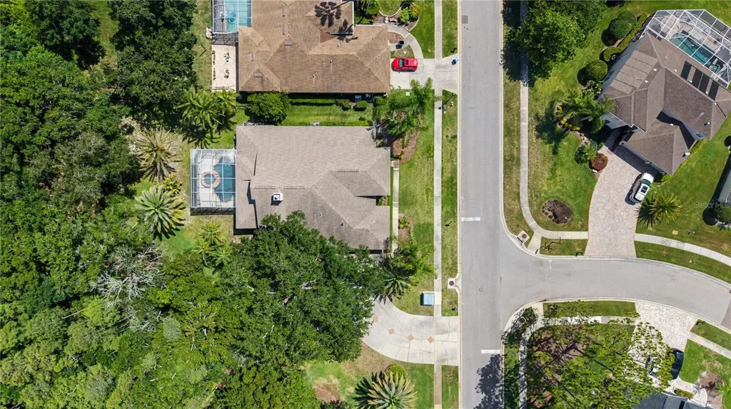 18615 Chemille Drive Lutz FL 33558