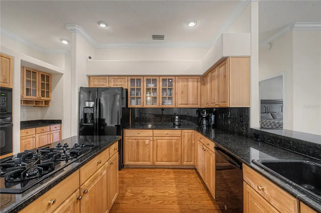 18615 Chemille Drive Lutz FL 33558