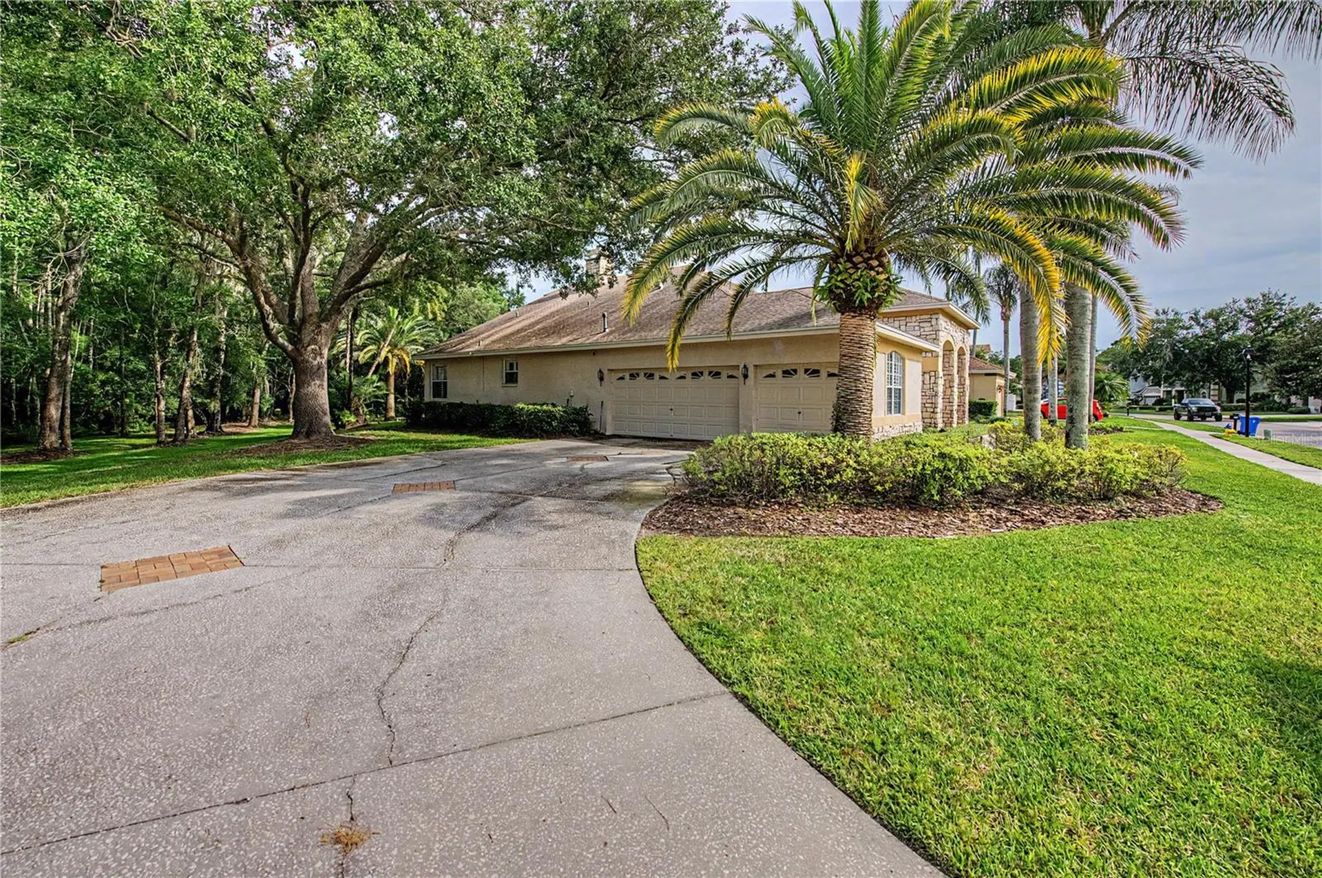 18615 Chemille Drive Lutz FL 33558