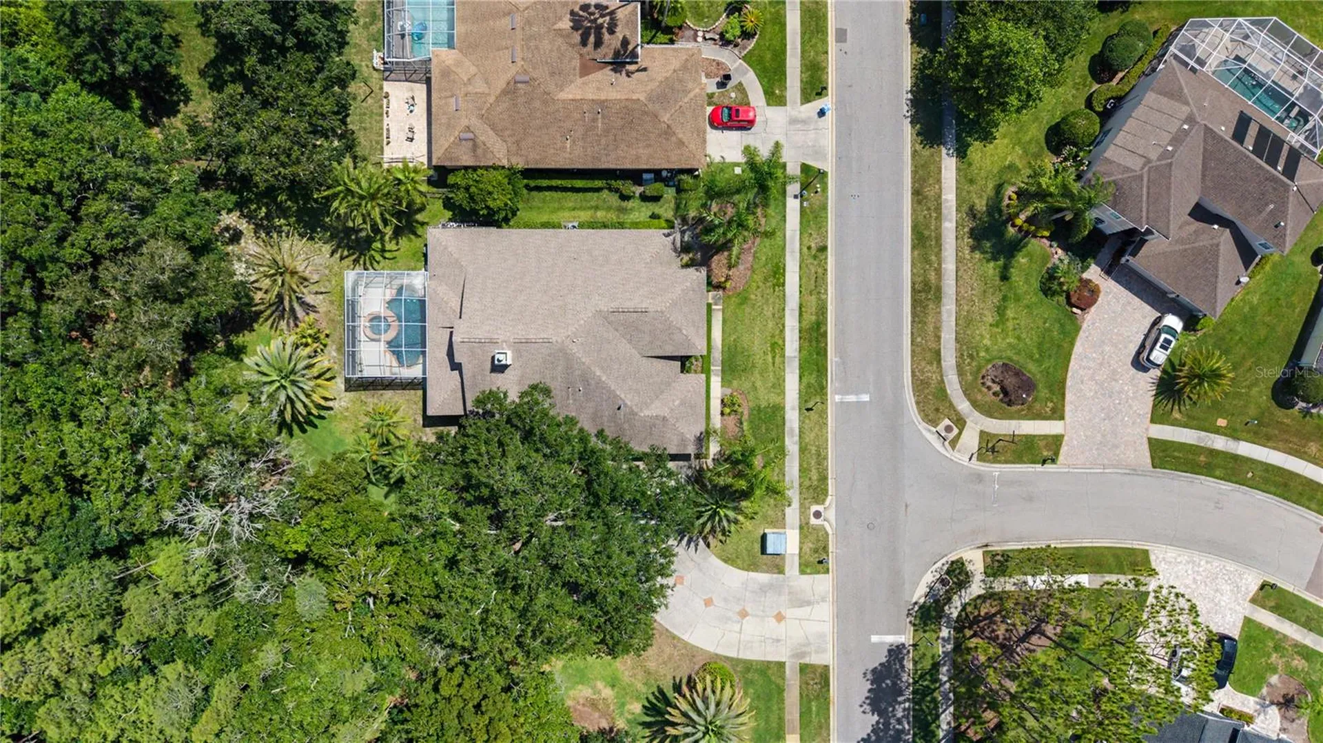 18615 Chemille Drive Lutz FL 33558