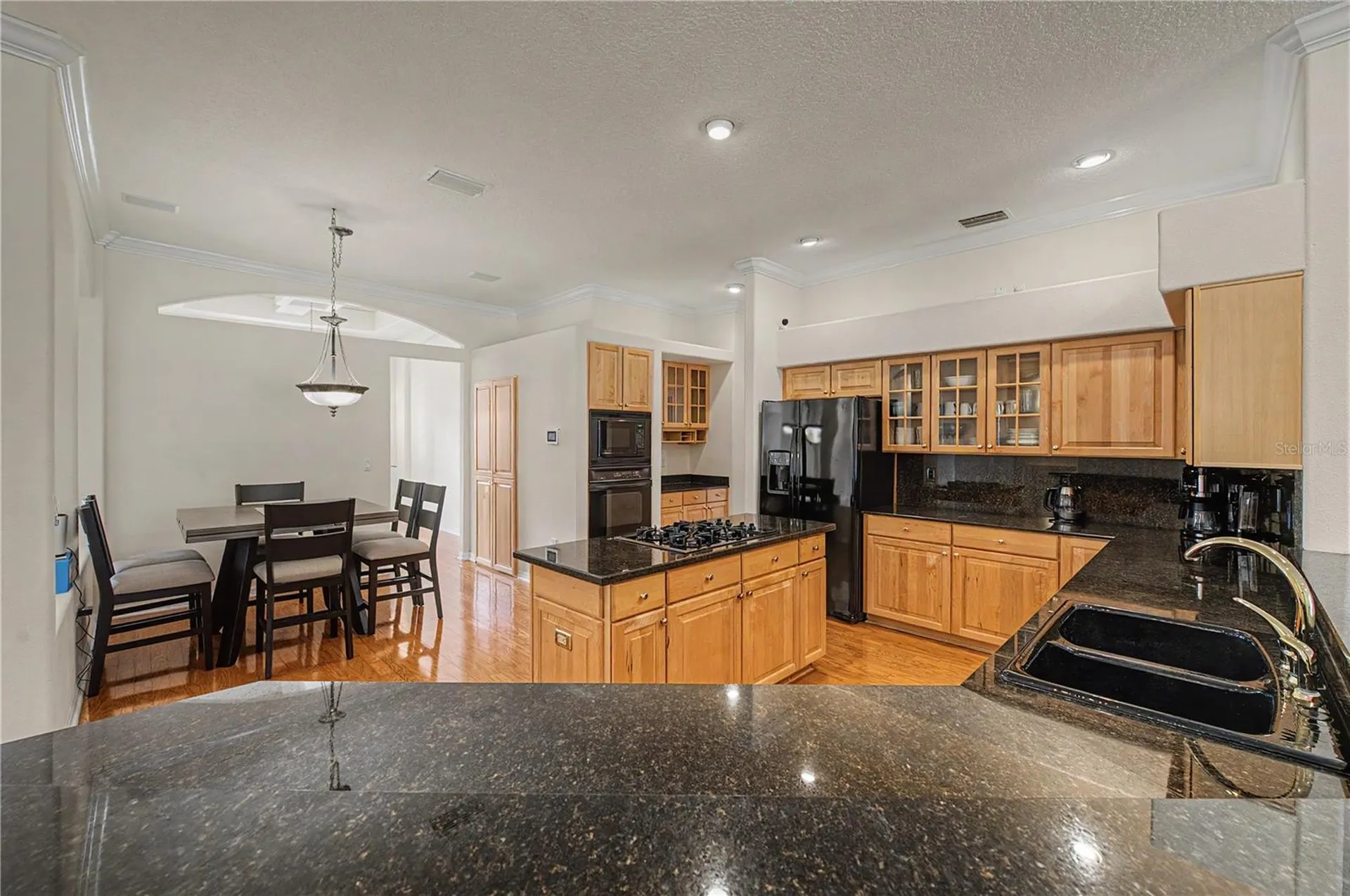 18615 Chemille Drive Lutz FL 33558