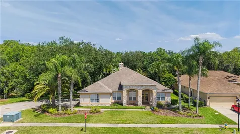 18615 Chemille Drive Lutz FL 33558