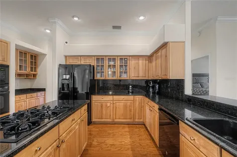 18615 Chemille Drive Lutz FL 33558