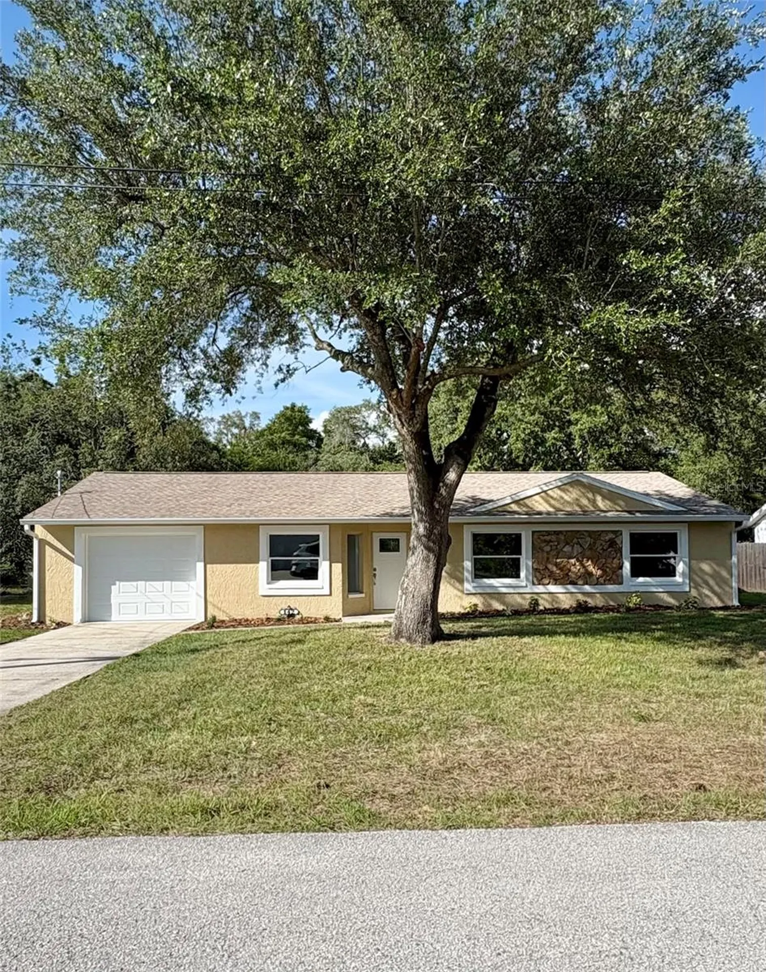 142 Rosedale Avenue Spring Hill FL 34606