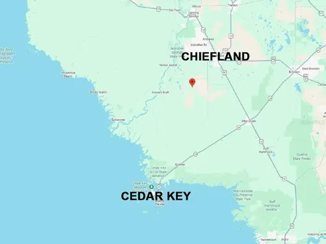 Lots 4 & 5 NW 56th Street Chiefland FL 32626