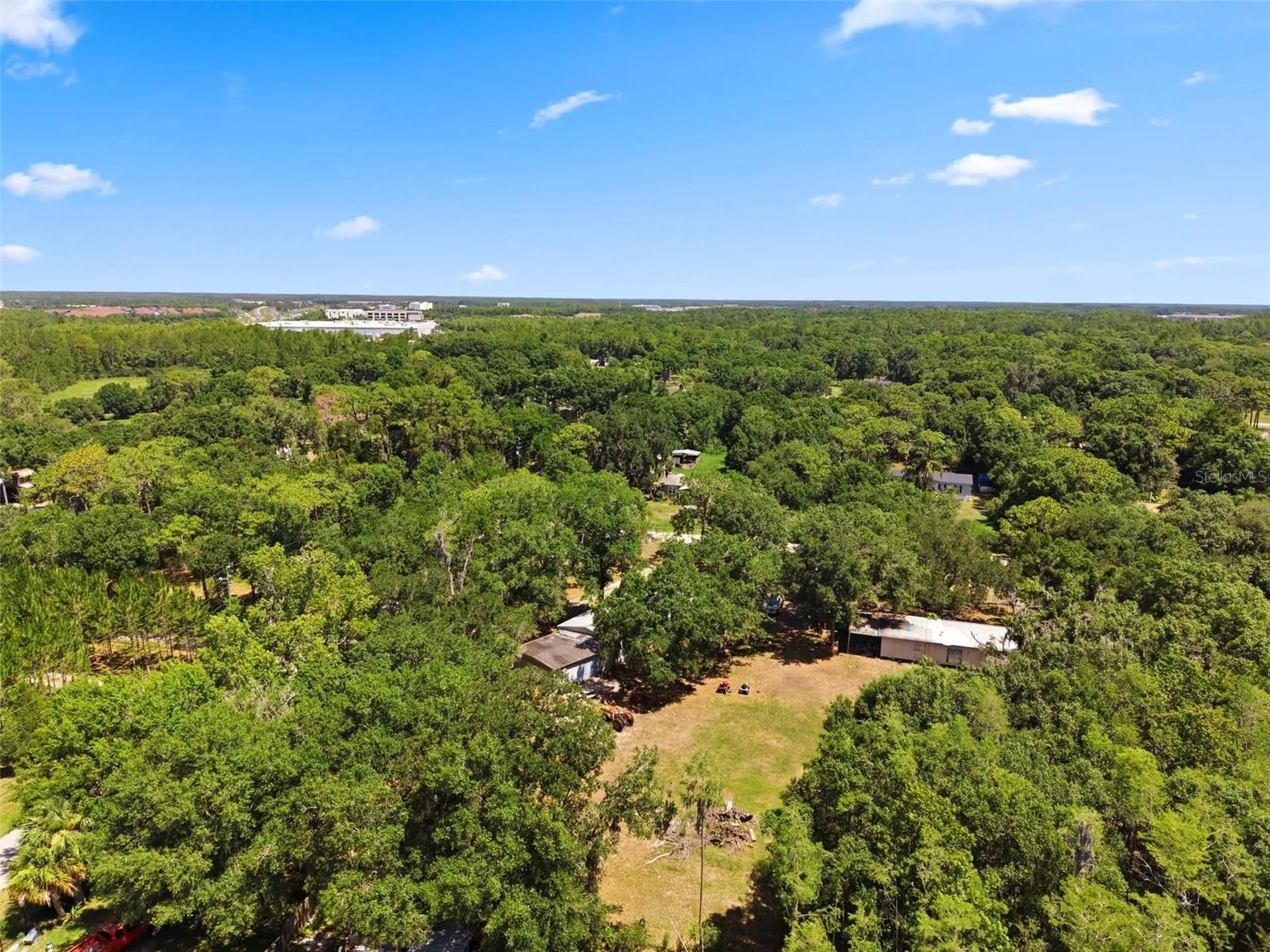 17214 Chinaberry Road Lutz FL 33558