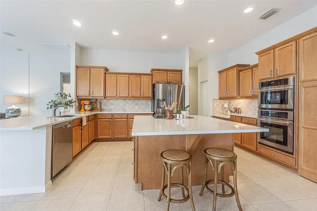 26731 Winged Elm Drive Wesley Chapel FL 33544