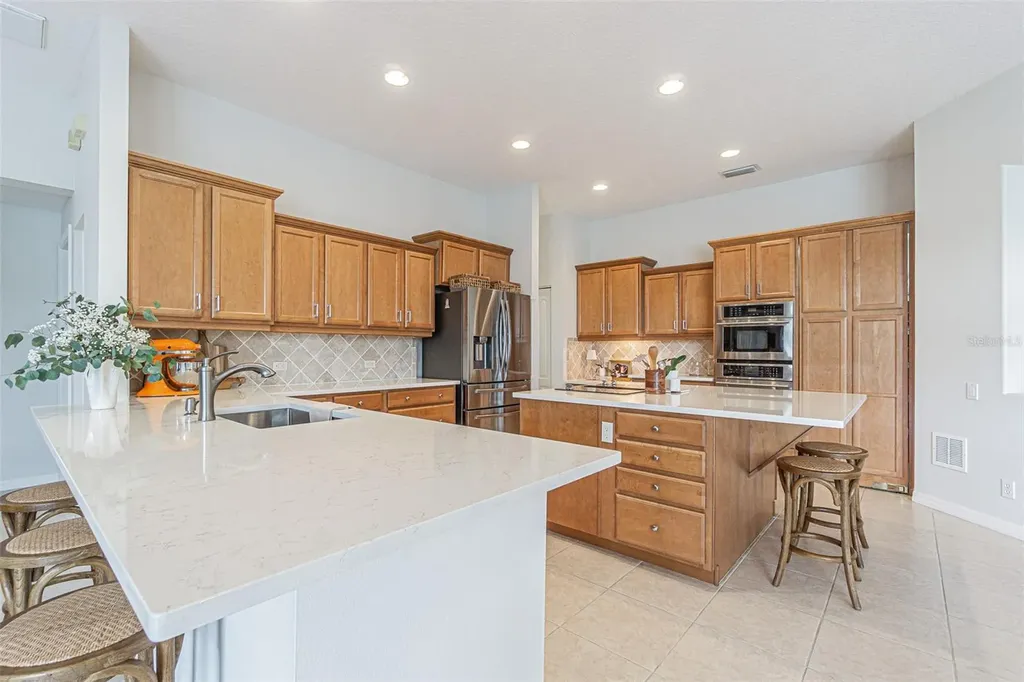 26731 Winged Elm Drive Wesley Chapel FL 33544