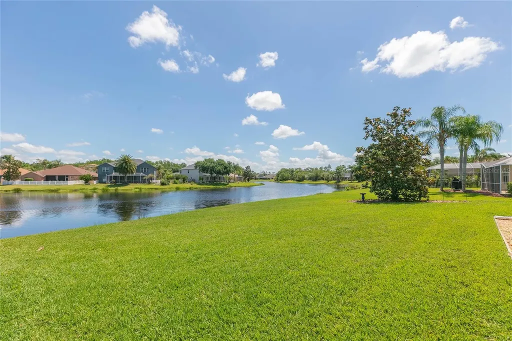 26731 Winged Elm Drive Wesley Chapel FL 33544