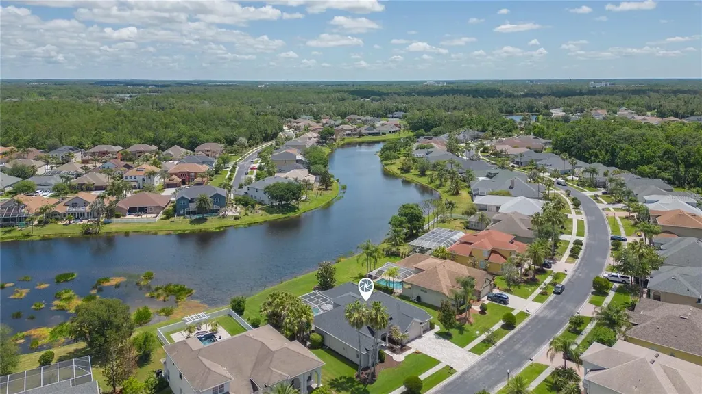26731 Winged Elm Drive Wesley Chapel FL 33544